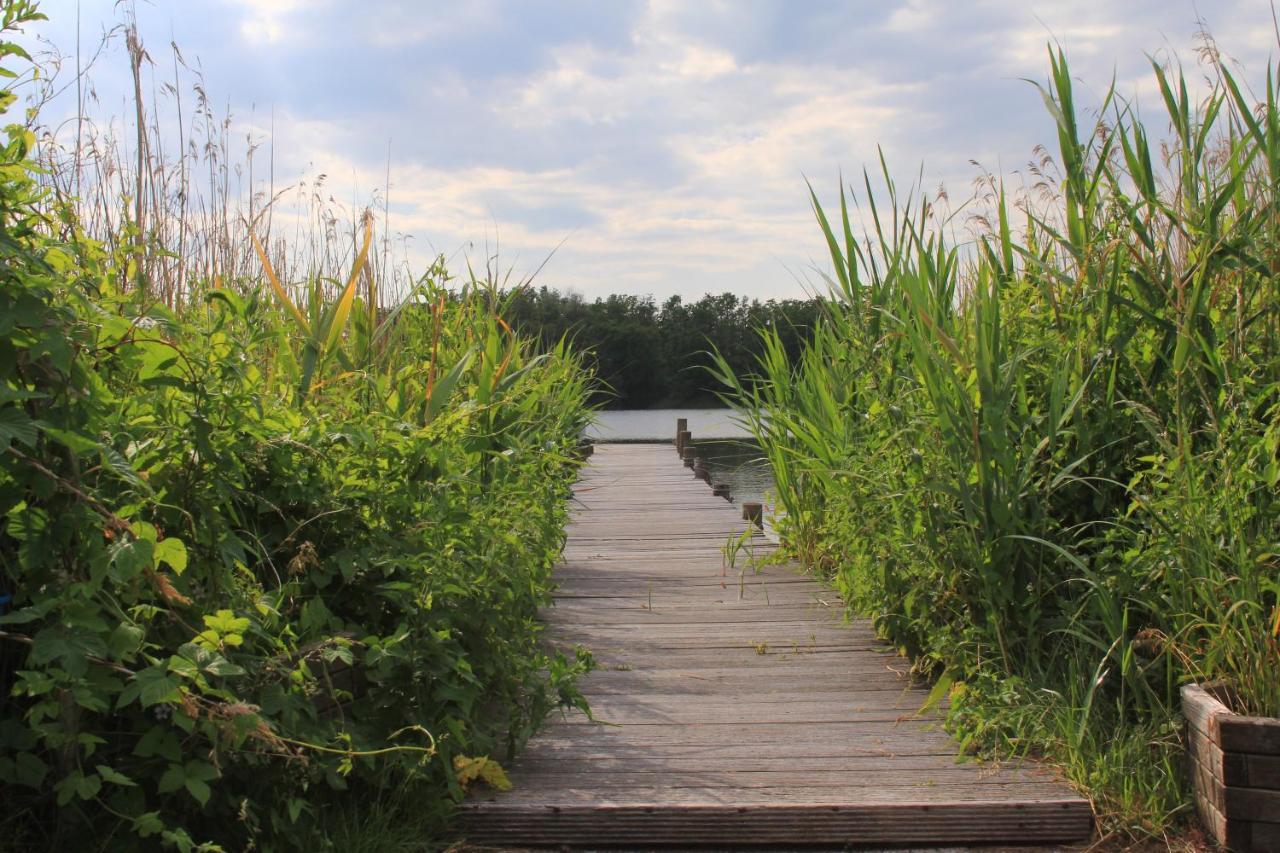 Moderne Und Helle Ferienwohnung Am Ploener See Bosau Luaran gambar